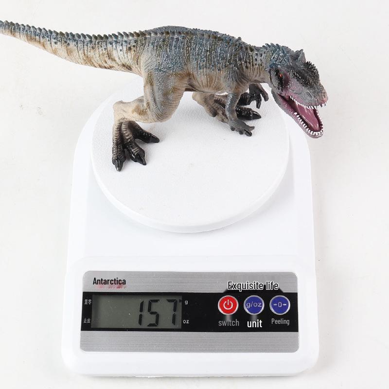Southern Giant Beast Dinosaur Model: Solid Core Tyrannosaurus Rex Toy for Kids