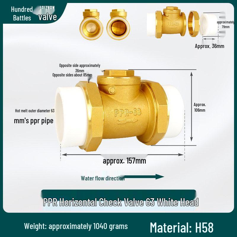 Brass Check Valve: PPR 20 4-point, 25 6-point, 1 Inch 32 Hot Melt Horizontal One-way Anti-backflow Water Pipe.