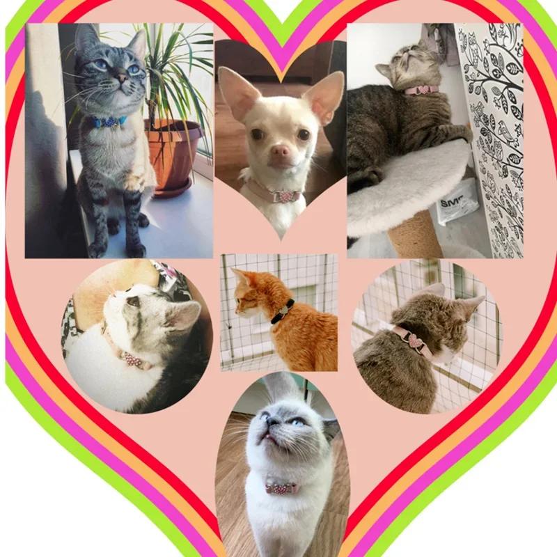 Rhinestones Heart Cat Collar Puppies Dog Safety Elastic Adjustable Charm and Bell Kitten Accessories Small Collar
