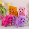 2025 Educational Plush Dog Toy: Walks & Barks for Children