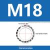 304 Stainless Steel Serrated Lock Washer with Anti-slip Teeth.