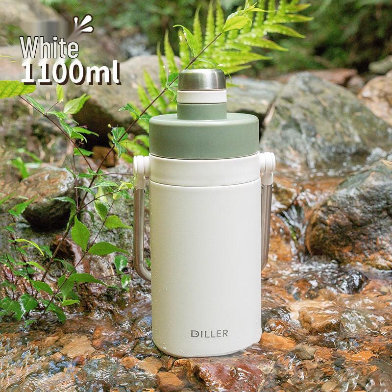 Diller Fannuo 316 Stainless Steel Insulated Thermos with Handle