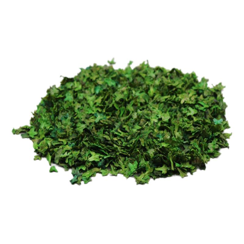 33ml Micro Landscape Leaves Sand Table Diorama Grass Tufts Accessories Miniature Leaf Static Model for Bonsai Fairy Garden Decor