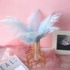 Color 20-25Cm Ostrich Hair Vase Ornament Wall Feather Decoration Hand Bouquet Flower Arrangement Diy Material