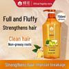 Silicone-Free Ginger Hair Strengthening Shampoo