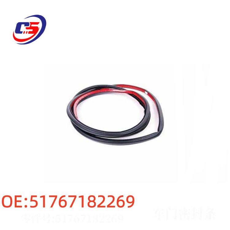 BMW 5 Series F10/F11/F18 Front Door Seals - Model 51767182269