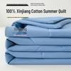 100% Xinjiang Cotton All-Season Quilt