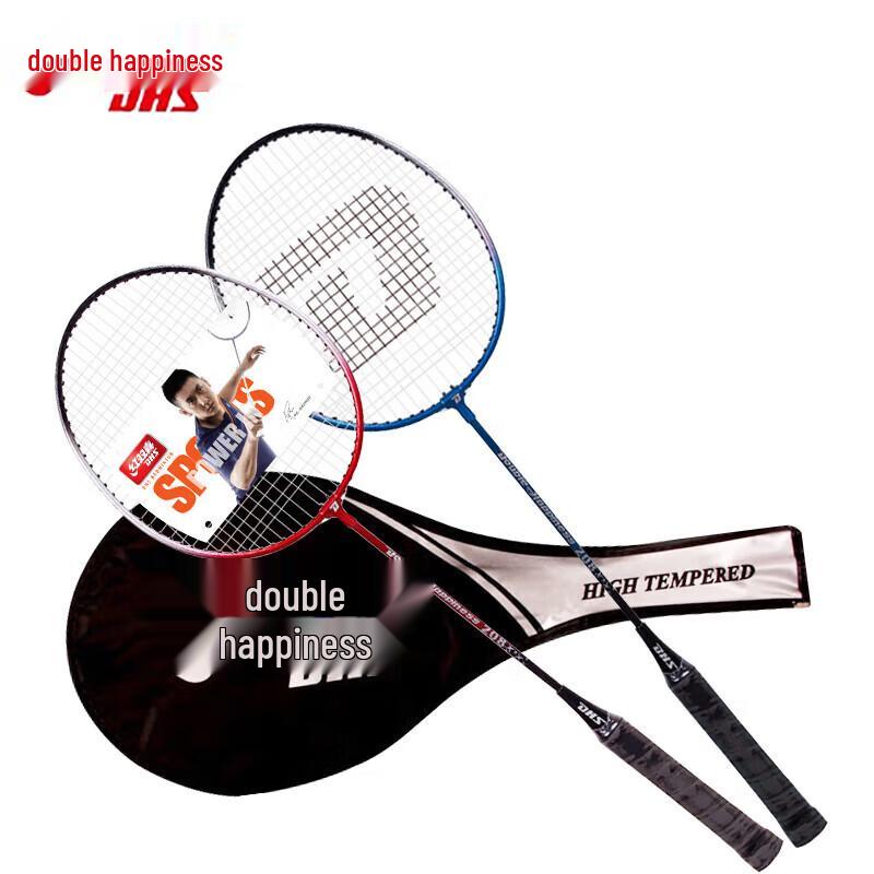 DHS Alloy Badminton Racket Set