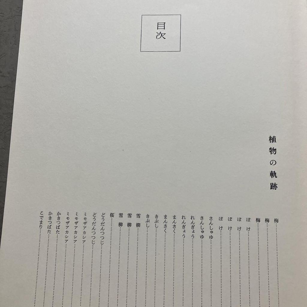 [POUŽITÉ] Ryuseiha Květiny jara Fotokolekce