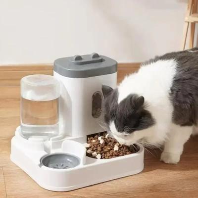 Cães – Louça para cães