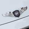 Metal Chromed Car Front Hood Emblem Badge Sticker for Alfa Romeo 156 159 147 155 Mito Giulia GT Giulietta Stelvio Tonale 4C 8C zk1