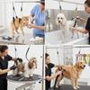 Sturdy Dog Grooming Restraint Strap Adjustable Grooming Table Hanging Strap  Pet Grooming