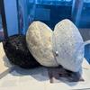 New retro sequined rhinestone butterfly mesh beret women's spring and summer fashion versatile face small painter hat