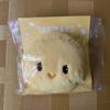 Used SHINee THE MOMENT OF Shine Taemin Temari Pouch