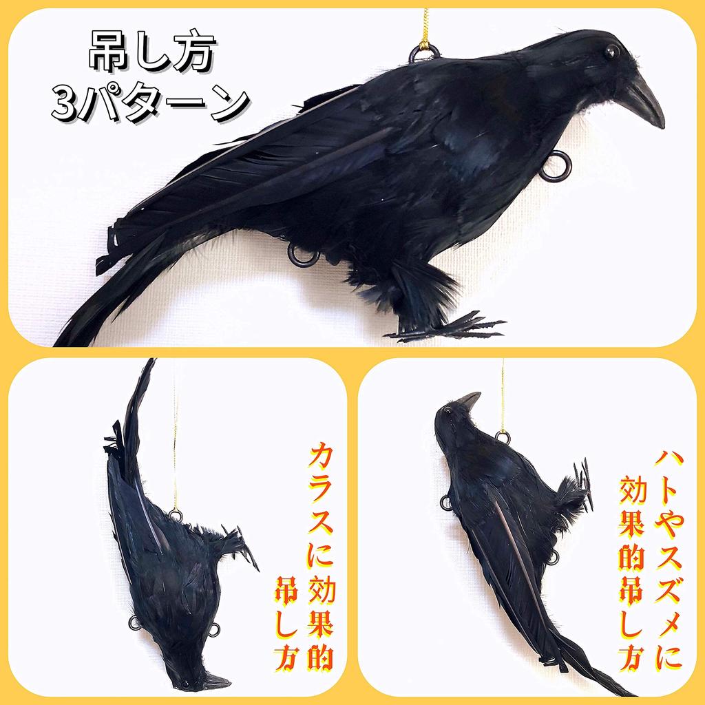 ONESORA Crow Bird Lifelike Feathered Crows Simply Hang to Repel Crows Repellent, Repellent, (2 Life-Size Birds) -