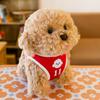 New baby children's sports teddy dog doll plush toy teddy dog doll birthday gift