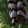 Campanello a Mano Naturale con Guscio di Frutta Guarigione del Suono Campanelli a Vento da Esterno Meditazione Yoga Campanello Spirituale Strumento a Percussione