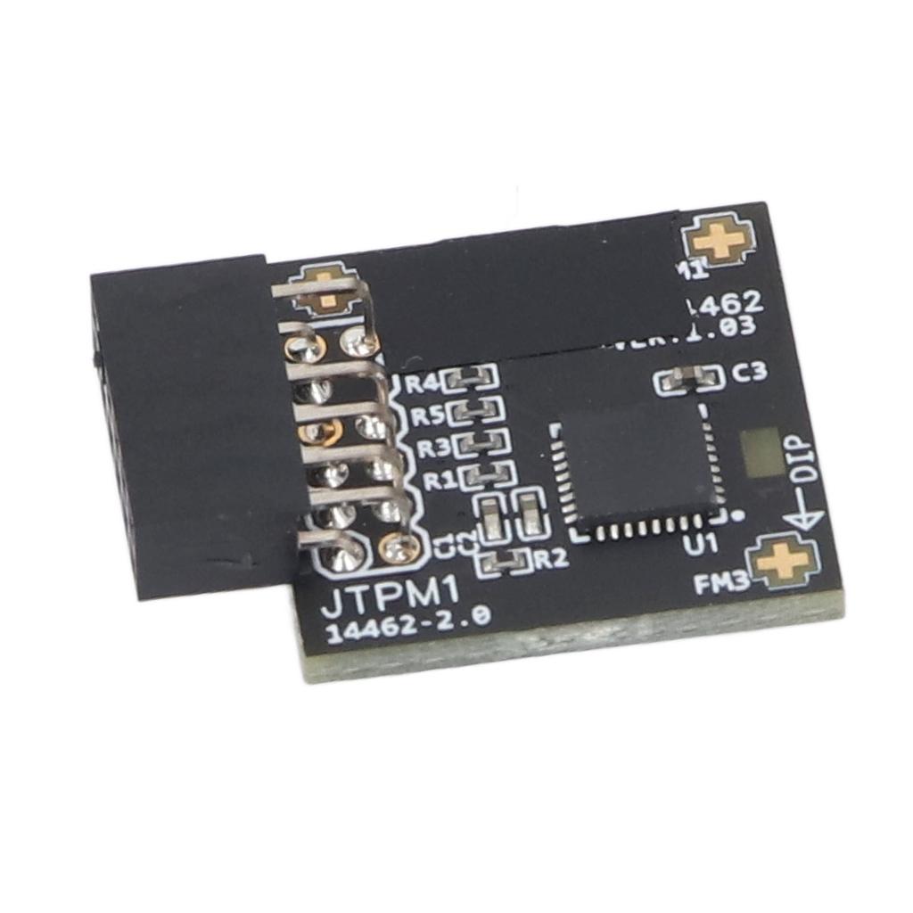 TPM2.0 Module TPM SPI 12Pin Module with SLB 9670 Security Module for Windows 10 11 Motherboards
