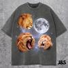 Three Lion Retro Moon Graphic T-shirts, Vintage Lion Moon Meme Tshirt, Lion Lovers, Funny Lion Tee, Oversized Washed Tee, King of Jungle