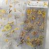 6 pcs/pack PET Plants Flowers Stickers DIY Scrapbooking Planner Decoration Collage Diary Supplies Aesthetics Stationery Sticker