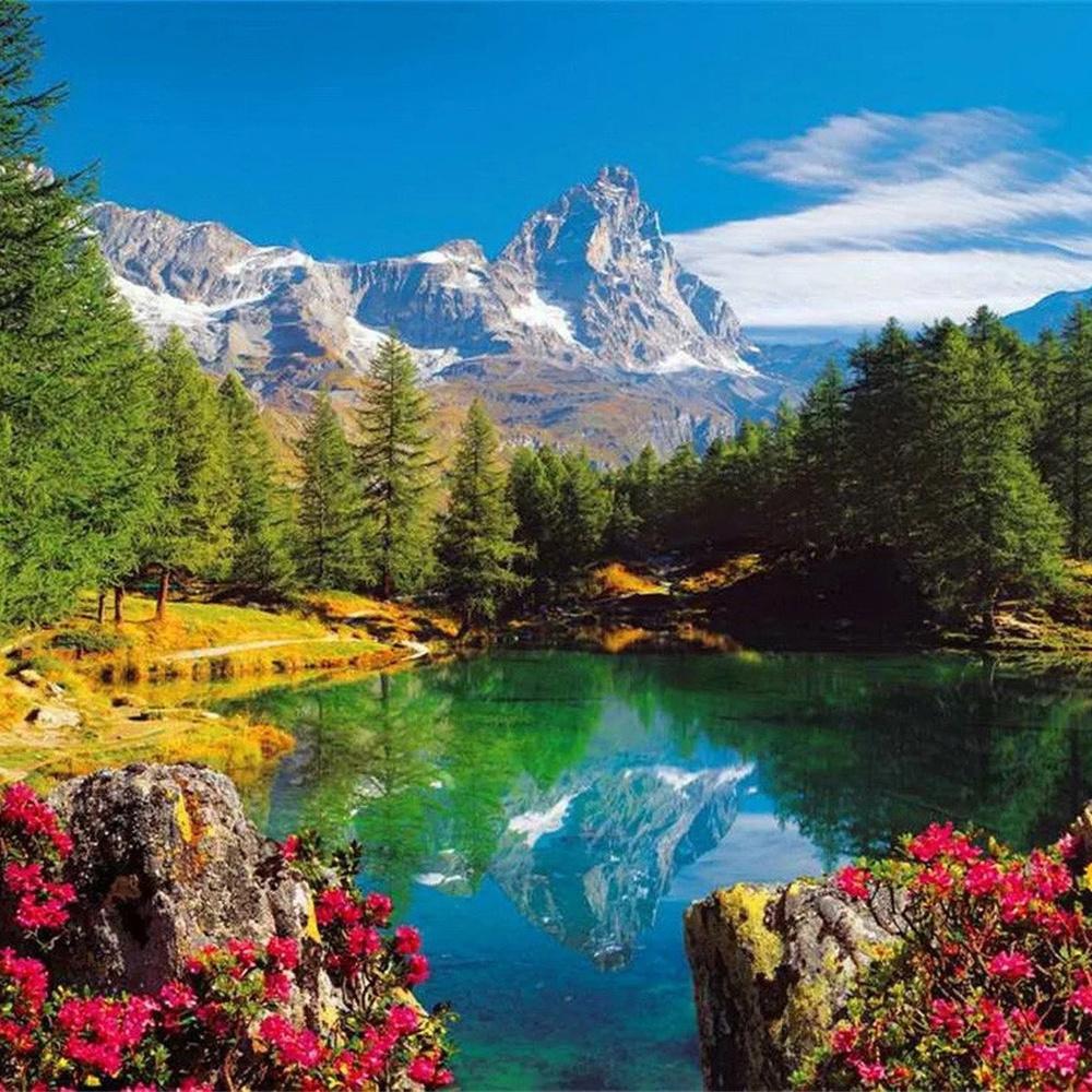 MomoArt Diamond Painting Blumen Vollrunde Bohrer Diamantmosaik Berg 5D DIY Kunst Perlenstickerei Landschaft Heimdekoration