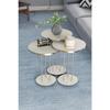 Coffee Table And Nesting Table Terra Silver White