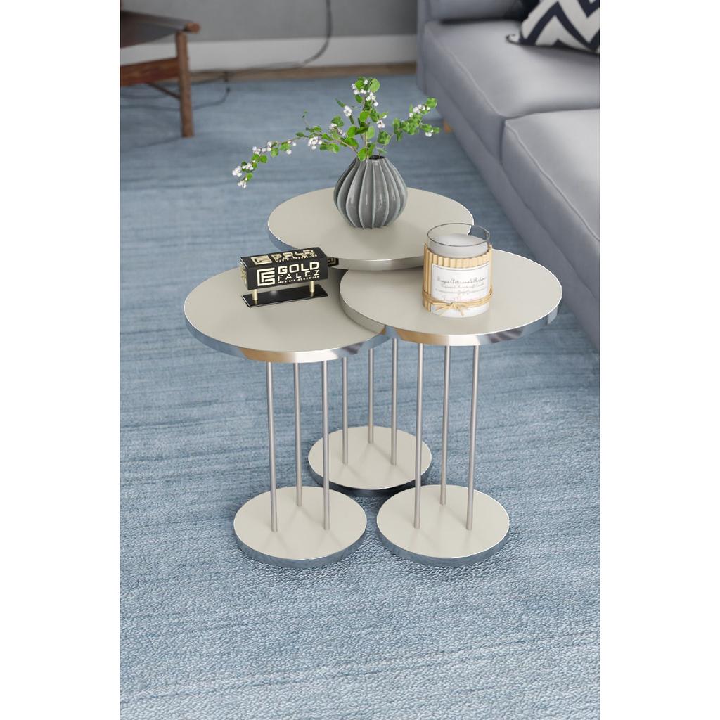 Coffee Table And Nesting Table Terra Silver White