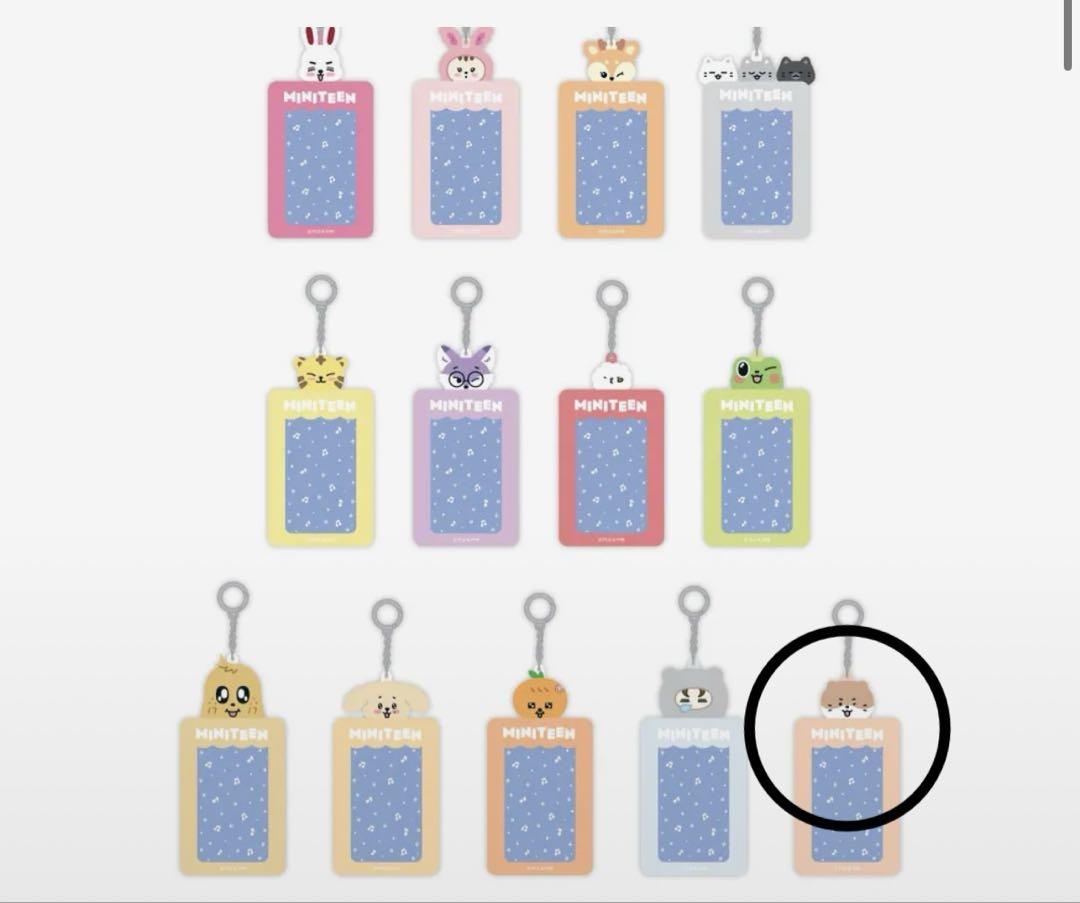 

[USED] MINITEEN Trading Card Case CHANDALEE Not Available in Japan