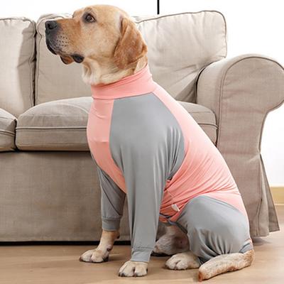Köpek – Köpek bakım ürünleri