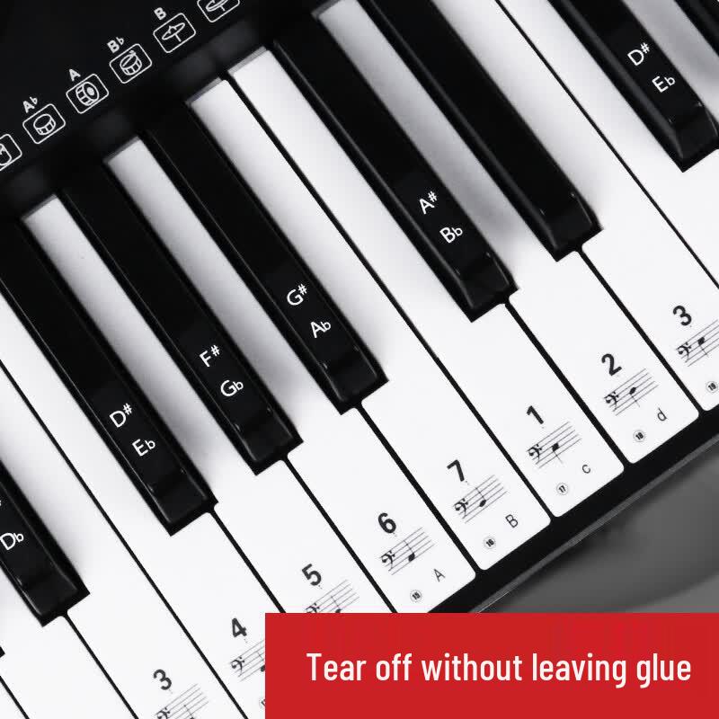 Manle Musical Instrument Accessories