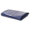 VidaXL Tarp 650 G / M² 6 X 8 M Blue