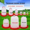 Alfalfa Automatic Chicken & Pigeon Feeder with Waterer for Poultry Farming