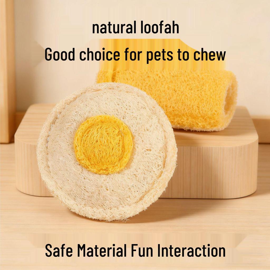 Loofah Catnip Teaser Stick: Self-Entertainment & Teeth Grinding Toy for Cats