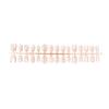 30 Pieces of Three-dimensional Small White Flower Bright Cat Eye Gilt Light Luxury Short Ladder Wearing Nail Boutique Nail Art
