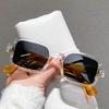 Small Frame Square Sunglasses Women For Men Fashion Vintage Trendy Sun Glasses Punk Luxury Brand Designer Pink Leopard Shades