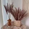 Preserved Small Dried Reed Rabbit Tail Flower Bouquet