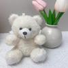 Teddy Bear Plush Keychain: Cute Doll in Clothes, Perfect Creative Gift, Customizable with Logo