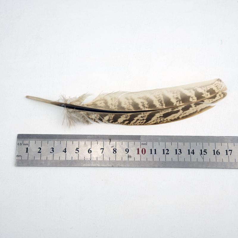 15-18cm Natural Pheasant Feathers for DIY Crafts Premium Handmade Costume Accessories Fly Tying & Wedding Decor Supplies Bulk