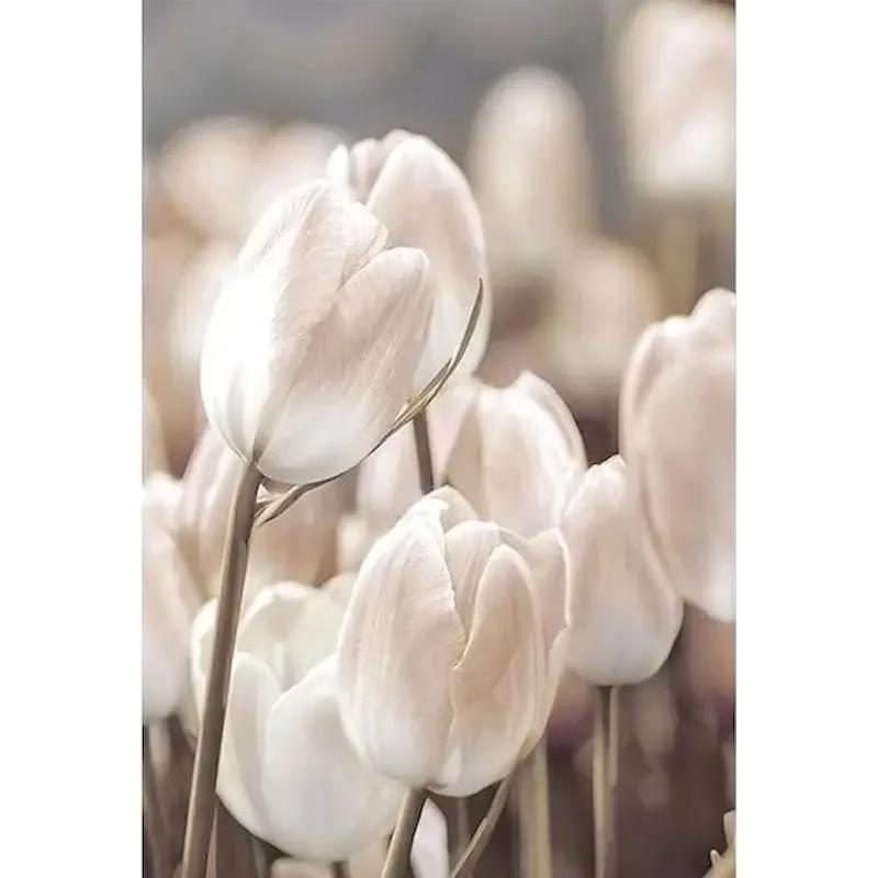 GATYZTORY Oil Picture By Numbers Nature Landscape Drawing Canvas Wall Art Oil  By Numbers Home Decor Gift