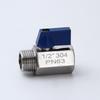 304 Stainless Steel Mini Manual Ball Valve with Male & Double Female Threads