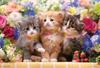 [Made In Japan] Beverly 300-Piece Jigsaw Puzzle: Kittens' Flower Time (26x38cm) 300-139