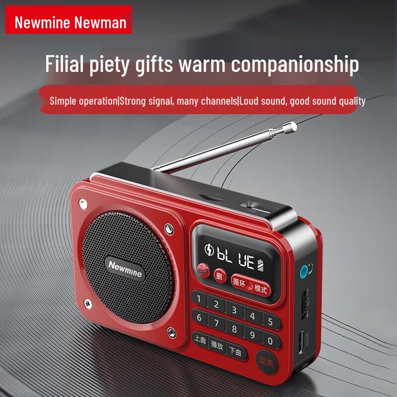Newmine N123 Portable Multifunction Radio Speaker CN Plug (adapter Included)