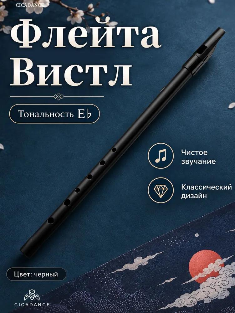 CICADANCE Píšťalka na flétnu, Černá, Tónina C, Nástroj se 6otvorovou flétnou, Kovový hudební nástroj