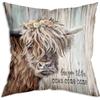 Sofa Pillow Pillowcase Skin-friendly Short Plush Cute Animal Cat Pillow Cover Living Room Cushion Cover Without Core