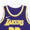 Nike NBA Authentic Lakers LeBron James #23 Spliced Logo Sleeveless Basketball Vest Men Vests Purple AJ5197-505