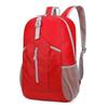 Li Shen Lightweight Folding Backpack