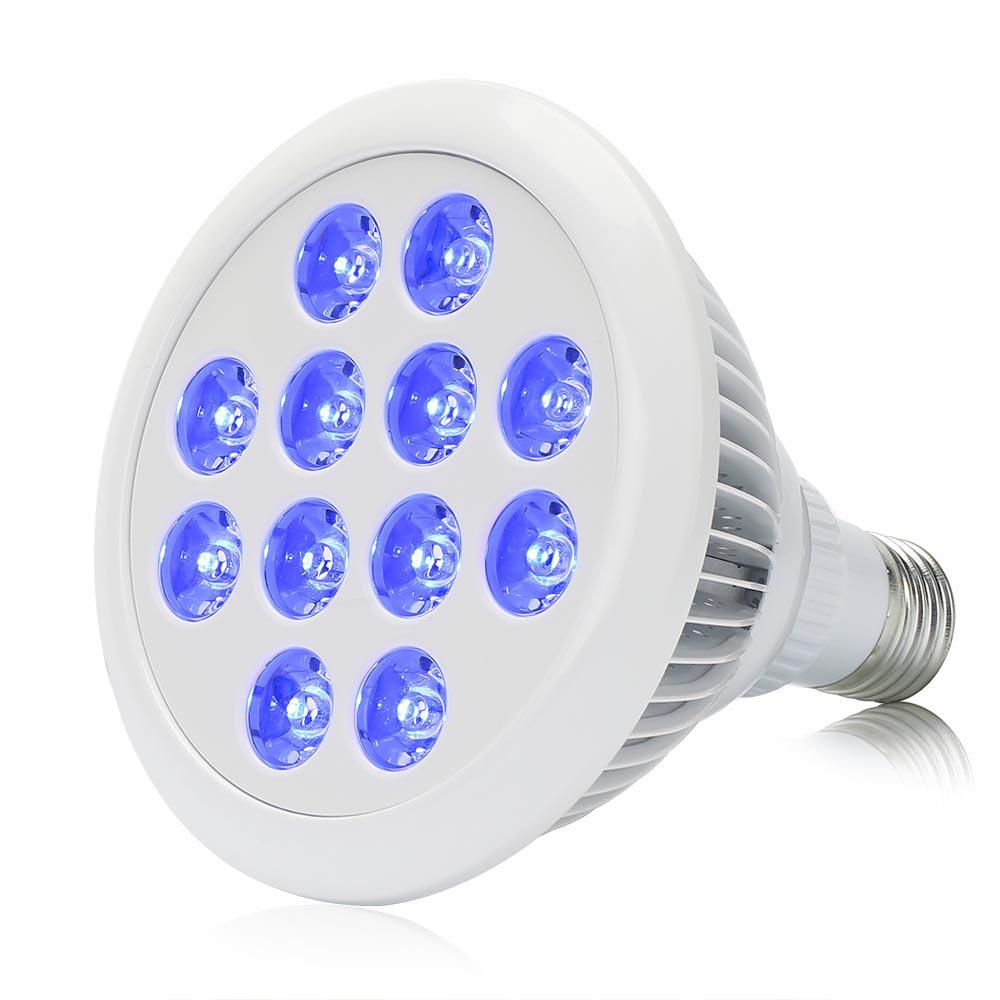 36W E27 LED Blue Light Grow Bulb for Indoor Succulents and Seedlings