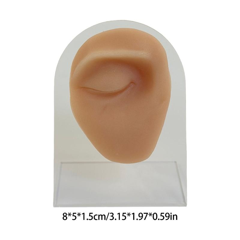 Professional Silicone Body Facials Piercing Trainer With Realistic Skin Texture For Dental Education And Aesthetic Labs