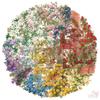 50Pcs/Set Retro Flower Wall Series 01 PET Stickers Waterproof DIY Fashion Doodle Decals Stickers