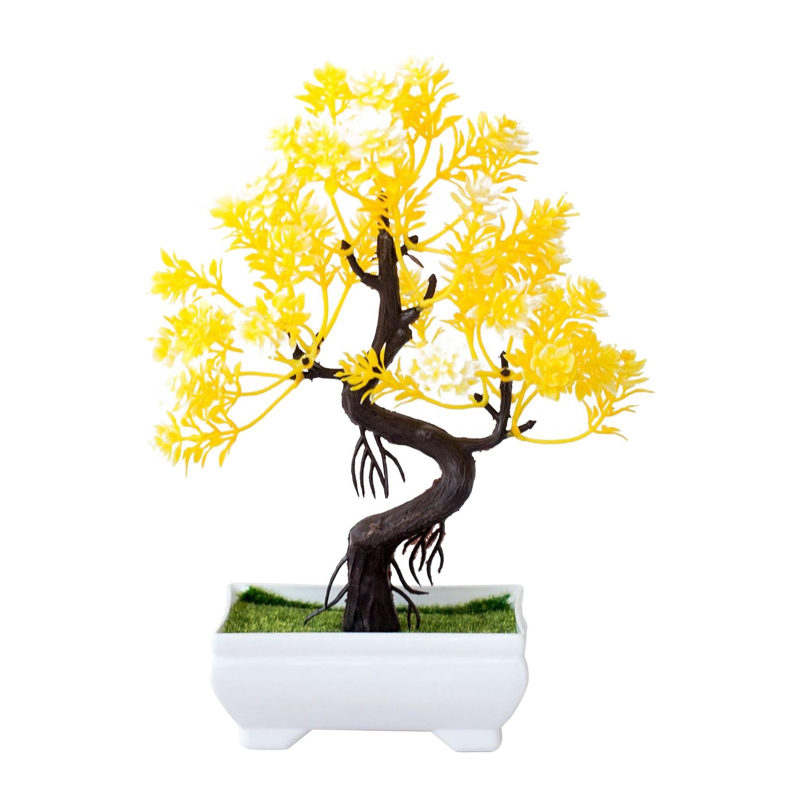 

Trigeminal Small Cui Моделювання рослин Орнаменти Бонсай Горшкові рослини